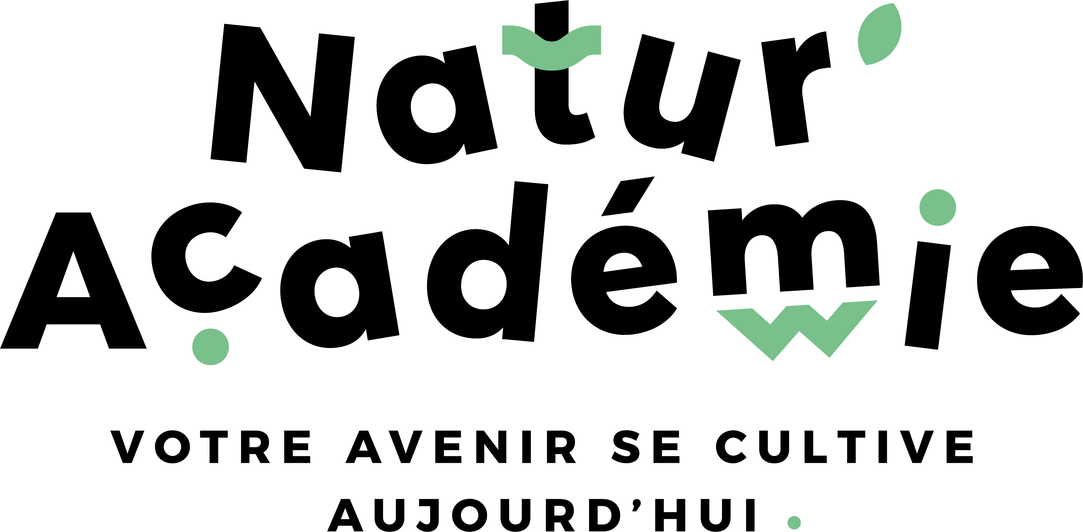 Entreprise 15